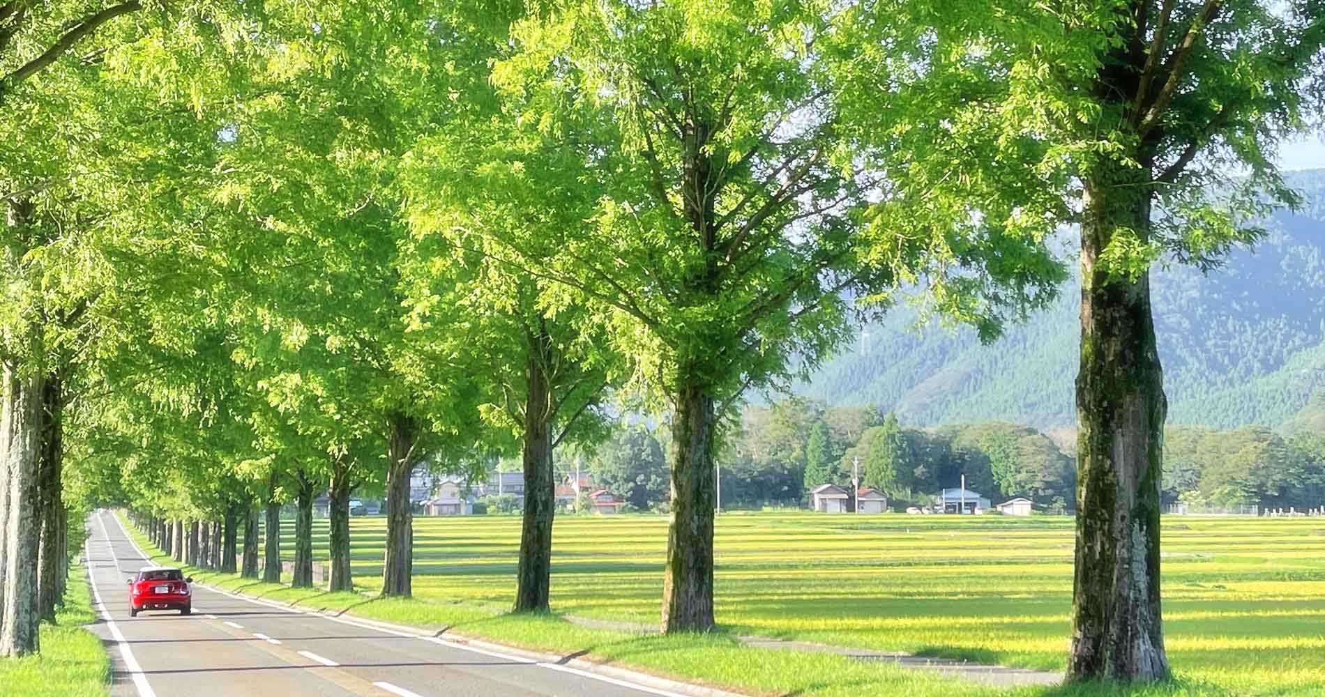 クボタトレーディング